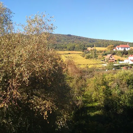 Hotel Restaurant Verger Des Chateaux, Route Des Vins Haut-koenigsbourg Dieffenthal