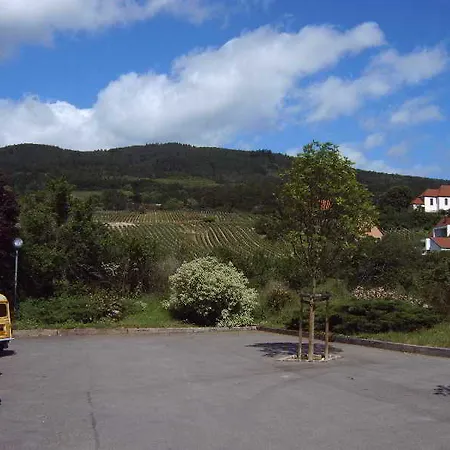 Restaurant Verger Des Chateaux, Route Des Vins Haut-koenigsbourg Hotel Dieffenthal