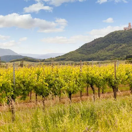 Restaurant Verger Des Chateaux, Route Des Vins Haut-koenigsbourg 3* Dieffenthal