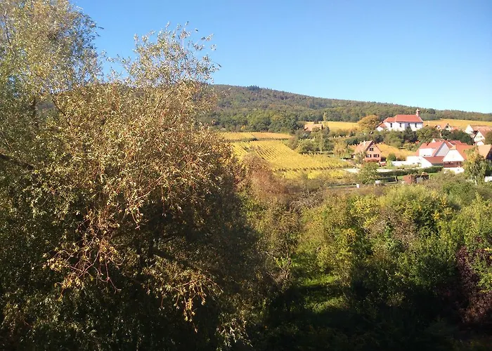 Hotel Restaurant Verger Des Chateaux, Route Des Vins Haut-koenigsbourg Dieffenthal
