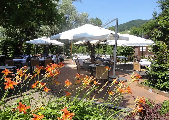 Hotel Restaurant Verger Des Chateaux, Route Des Vins Haut-koenigsbourg