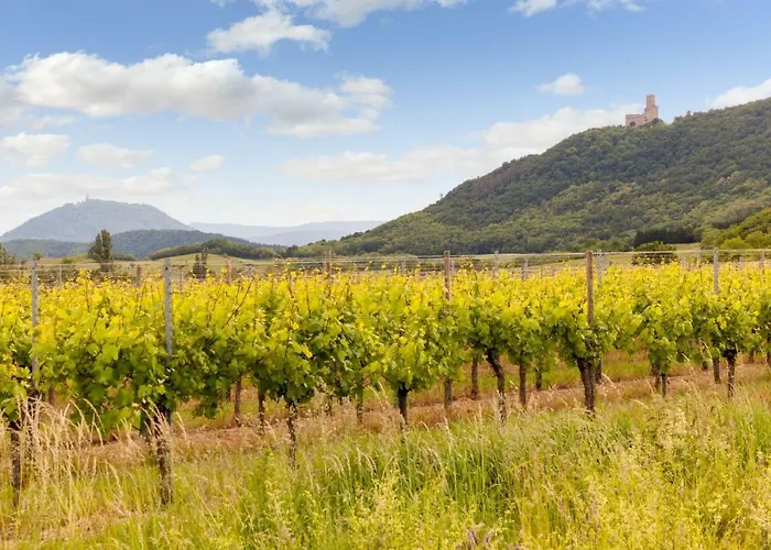 Restaurant Verger Des Chateaux, Route Des Vins Haut-koenigsbourg 3* Dieffenthal